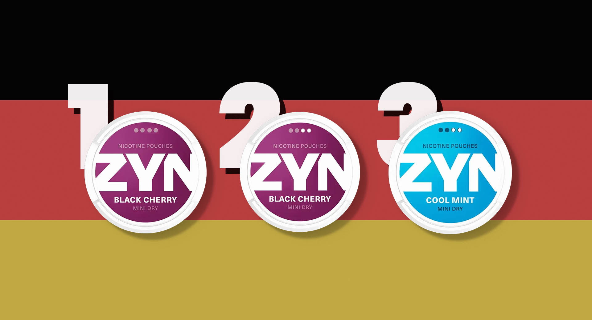 Buy Zyn Online to Germany – Fast Delivery & Great Prices at Nico&Pouch