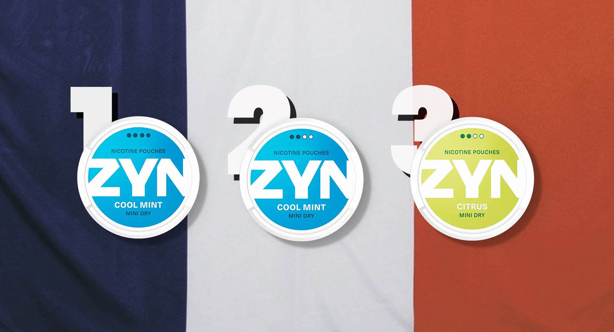 Buy ZYN Online to France