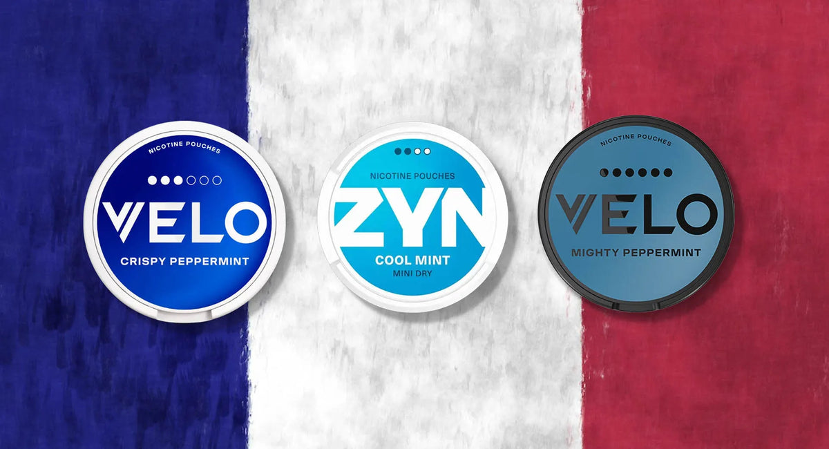 Nicotine Pouches France