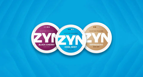Zyn – biggest nicotine pouch brand