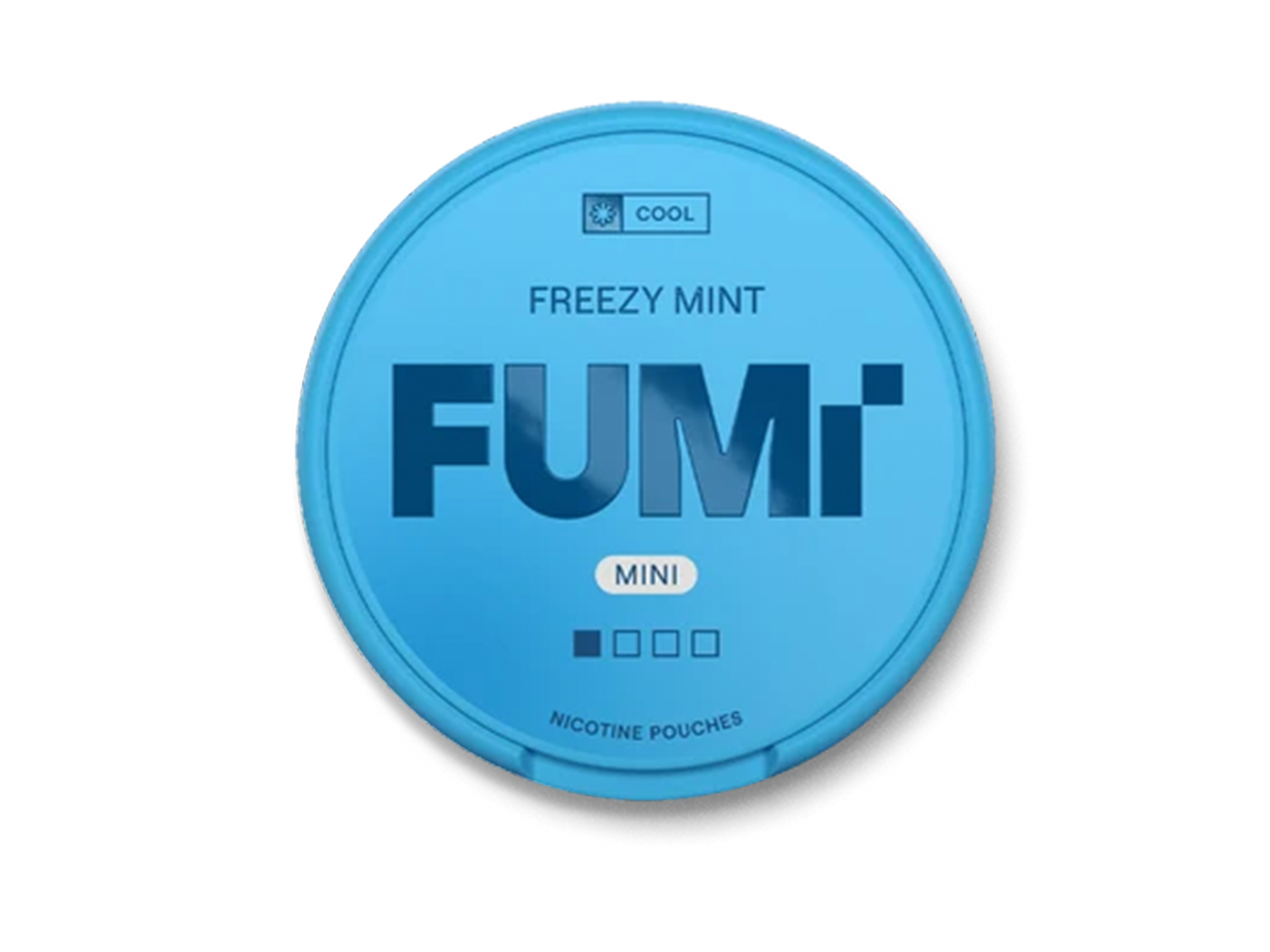 FUMi_Freezy_Mint_Mini_Regular