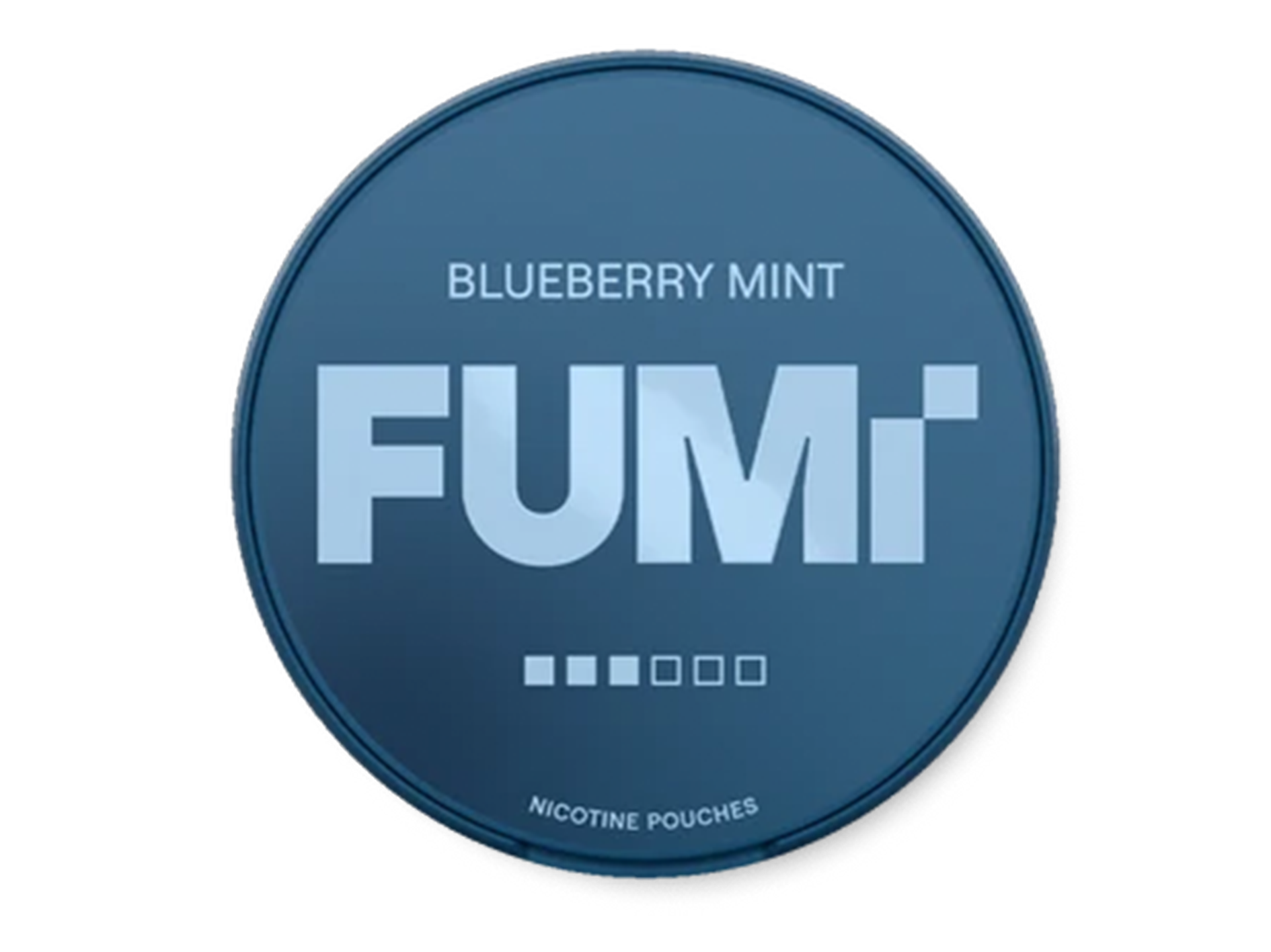 FUMi_Minty_Blueberry_Slim_Strong