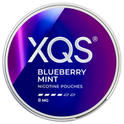 XQS Blueberry Mint Slim Strong