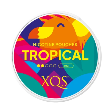 XQS Tropical Regular