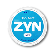 ZYN Cool Mint Mini Dry Regular