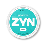 ZYN Spearmint Mini Dry Regular