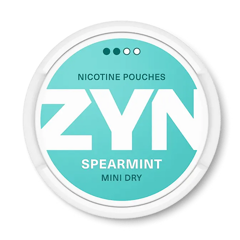 ZYN Spearmint Mini Dry Regular